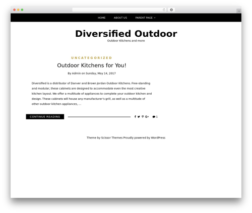 Writee WP theme - diversifiedoutdoor.com