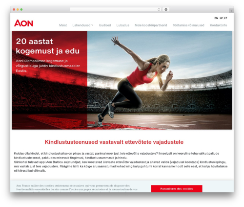 aon WordPress theme - aon.ee