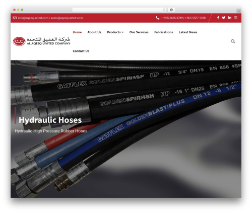 Finbuzz core WordPress plugin - aqeequnited.com
