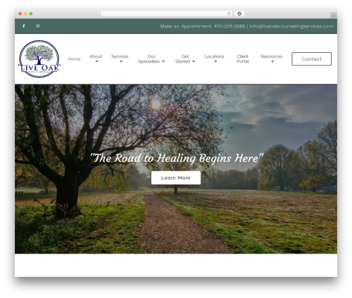Megatheme WordPress theme - liveoakcounselingservices.com