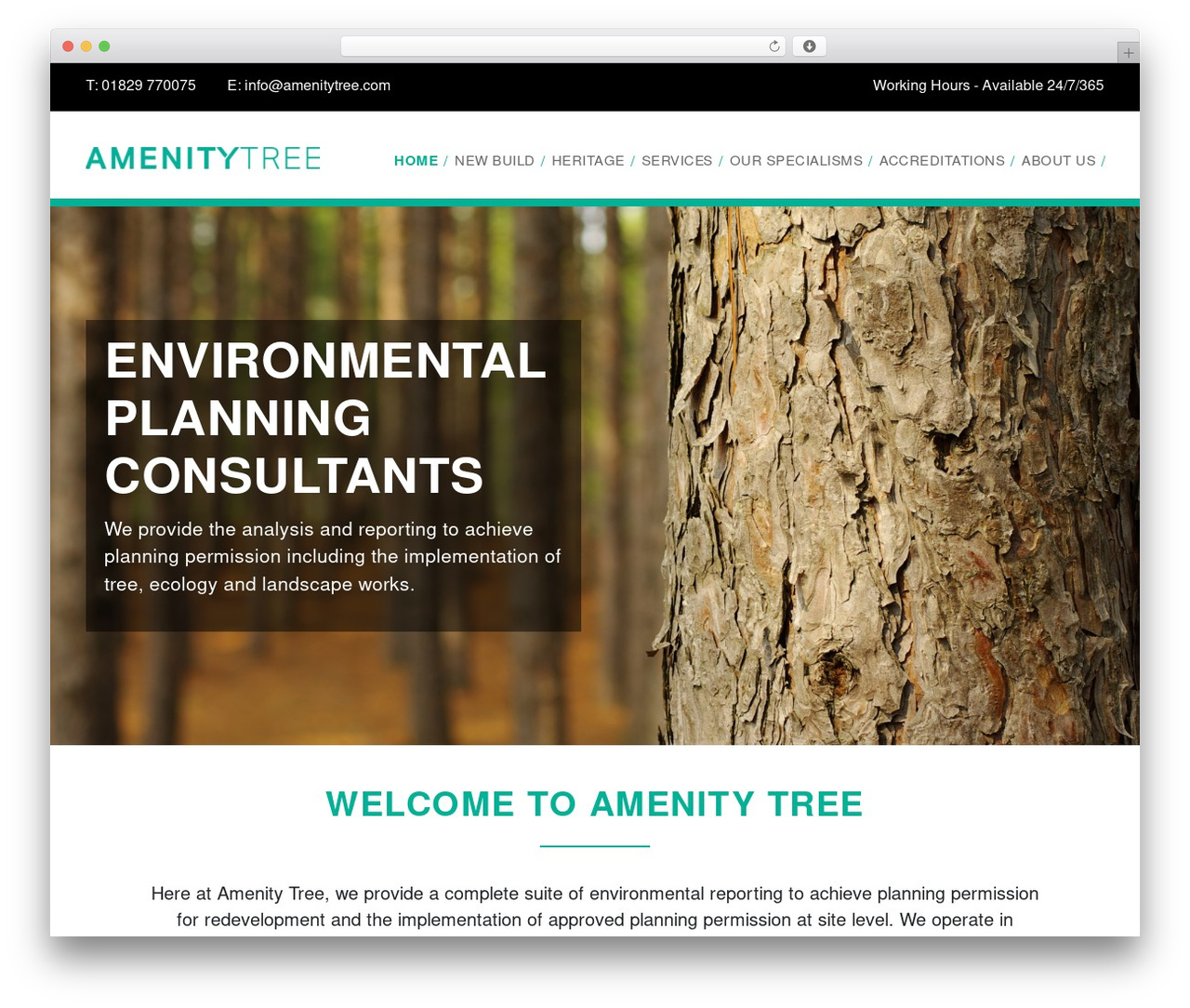 Primary WordPress theme - amenitytree.com Primary WordPress theme - amenitytree.com