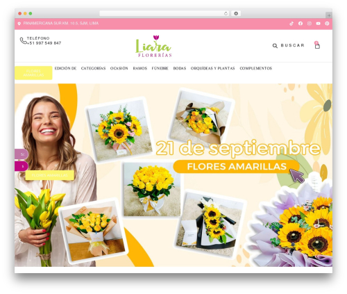 WBW Currency Switcher for WooCommerce (woo-currency) free WordPress plugin - liaraflorerias.com