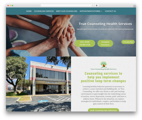 Divi WordPress theme - truechs.com