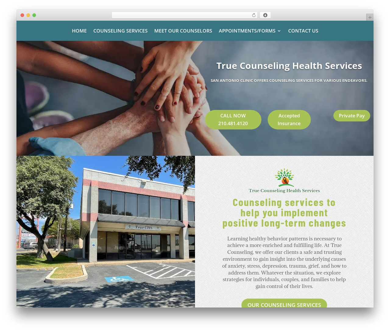 Divi WordPress theme - truechs.com