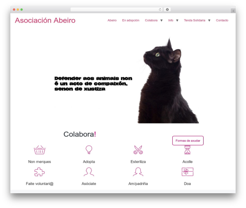 Sydney portfolio WordPress plugin - asociacionabeiro.org