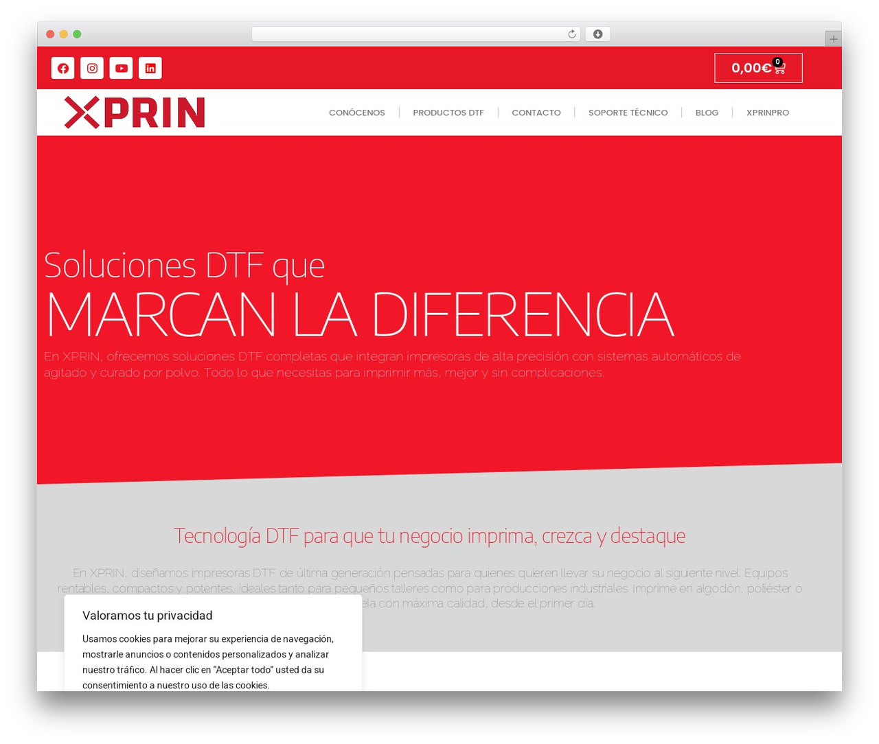 Hello Elementor WordPress website theme - xprin.es