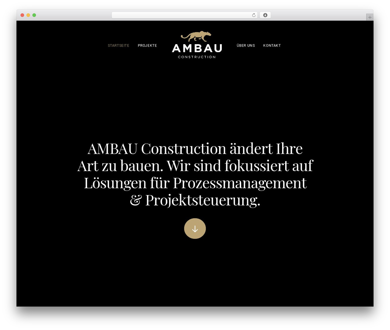 WordPress theme Uncode - ambau.info