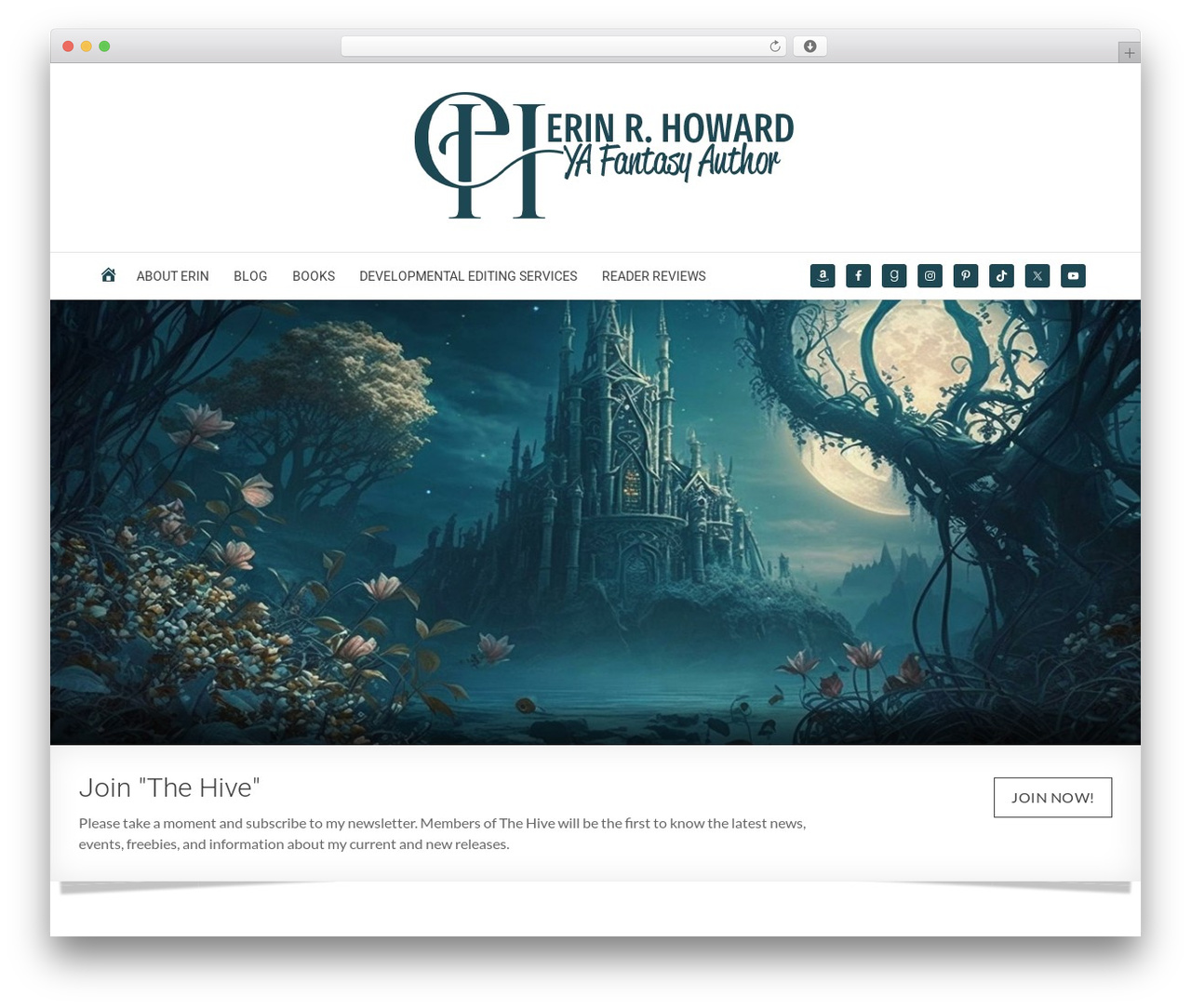 Flex Pro Theme top WordPress theme - erinrhoward.com