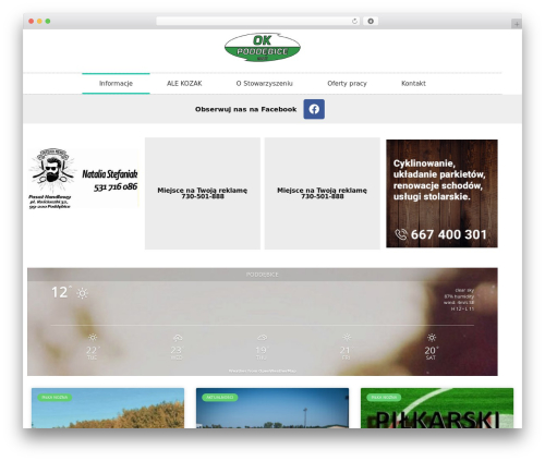 Hello Elementor theme WordPress free - okpoddebice.pl