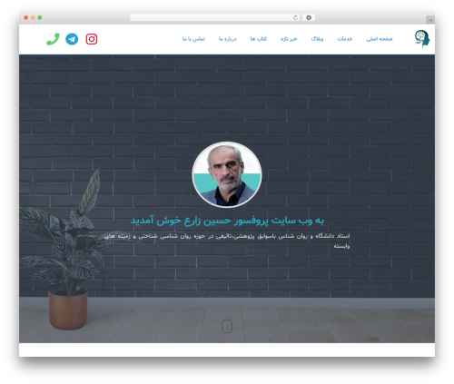 رادین theme WordPress - profzare.com