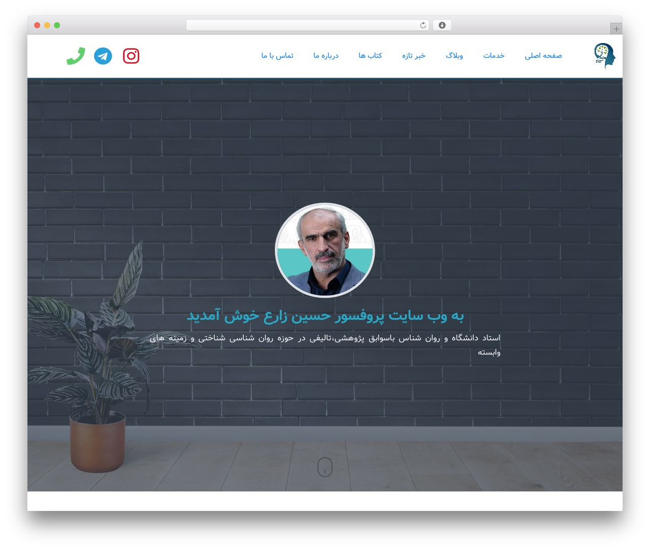 رادین theme WordPress - profzare.com