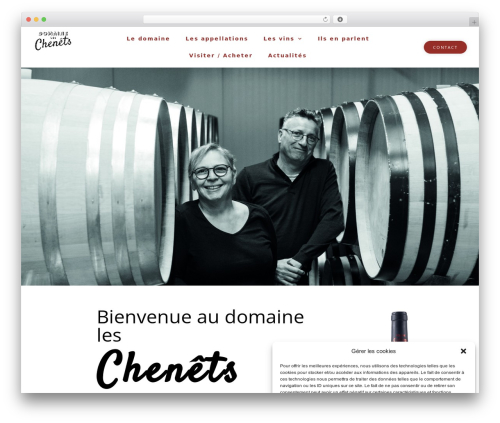 Hello Elementor WordPress theme - domaineleschenets.com