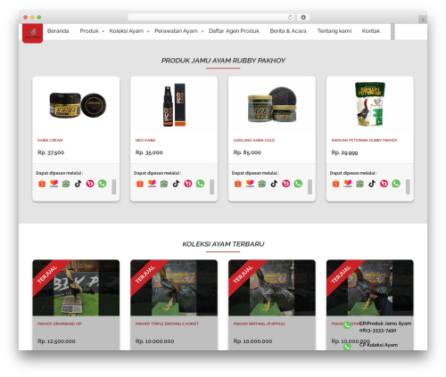 Vw gallery images WordPress plugin - rubbypakhoy.com