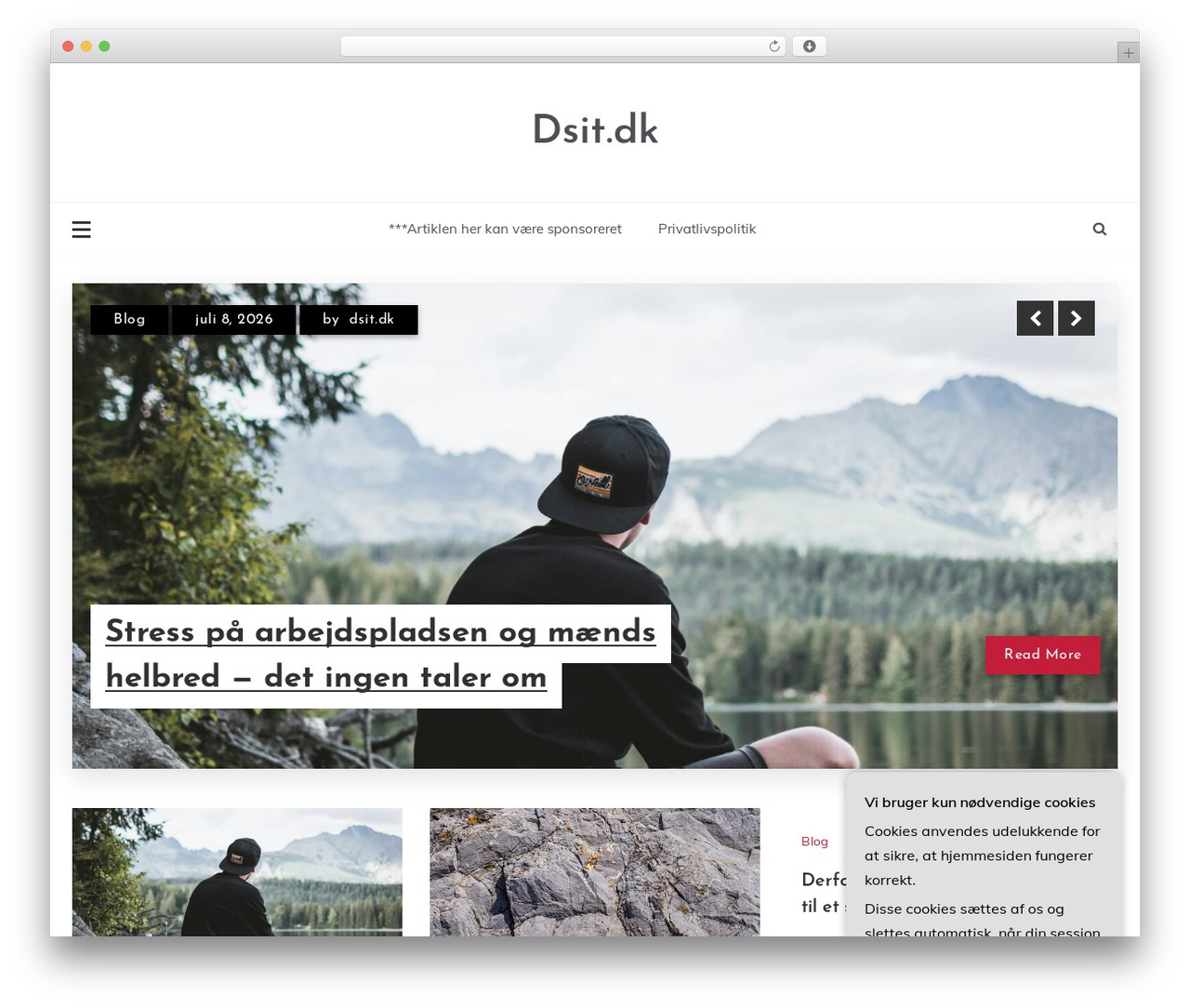 WordPress theme Parewa - dsit.dk