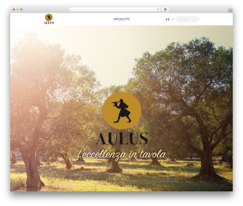 Hello Elementor WordPress theme - aulus.it