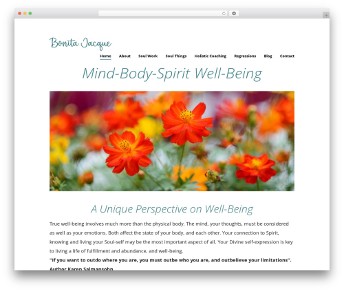 Mighty cpt shortcodes WordPress plugin - bonitajacque.com