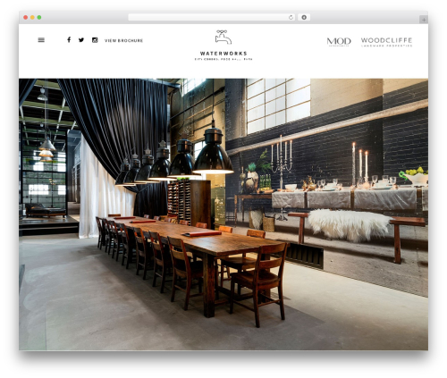 Developer WordPress website theme - waterworkstoronto.com