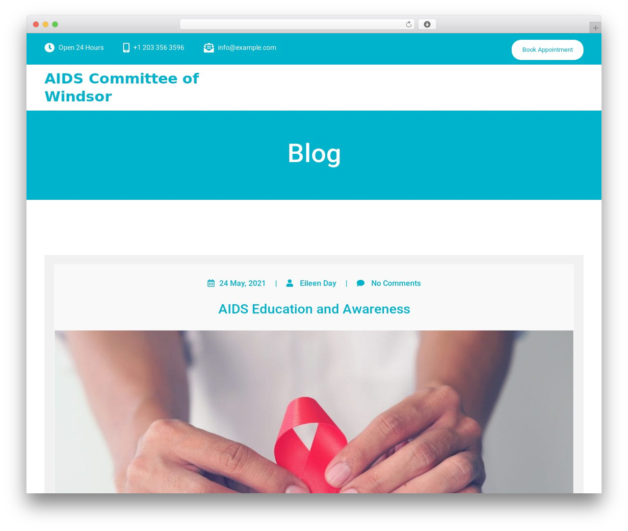 MediHealth free WordPress theme - aidswindsor.org