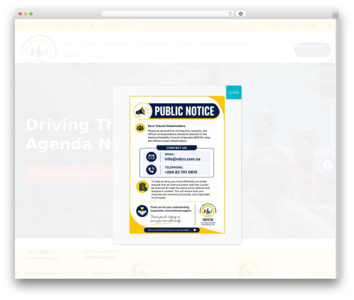 Voice widgets WordPress plugin - ndcn.com.na