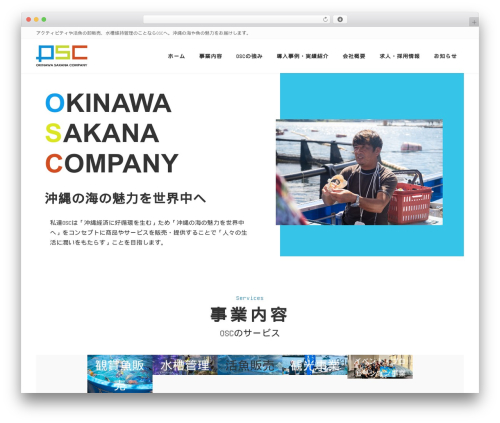 Vk video block pro WordPress plugin - okinawa-sakana.info/osc