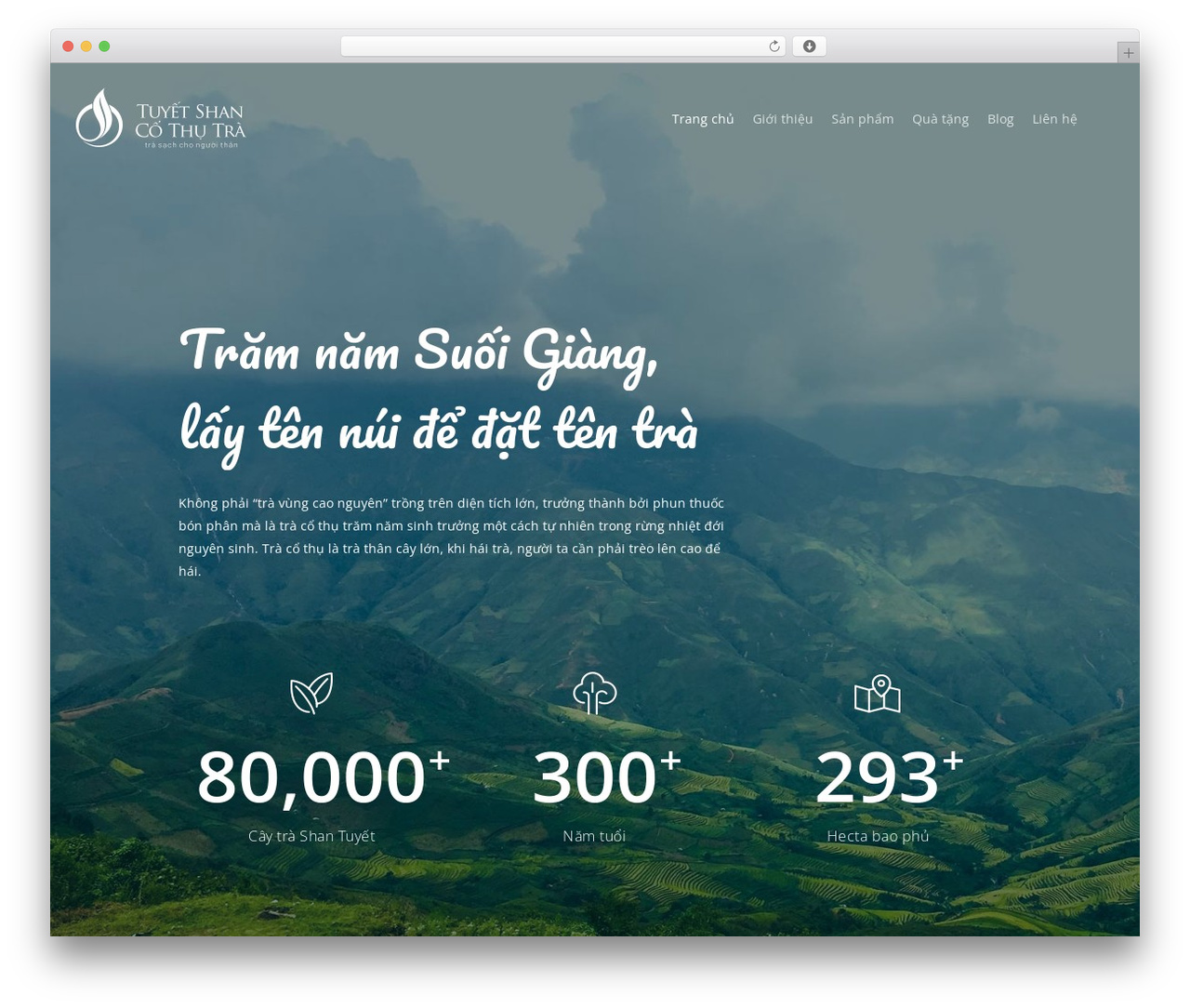 Theme WordPress Salient - suoigiang.com