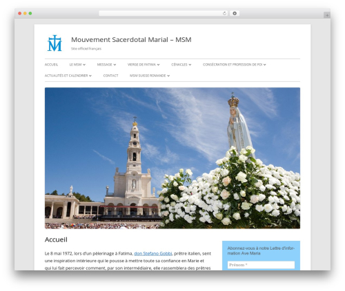 Tiny Framework WordPress theme - msm-france.com Tiny Framework WordPress theme - msm-france.com