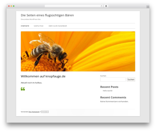Tiny Framework WP theme - knopfauge.de Tiny Framework WP theme - knopfauge.de