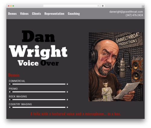 Visitors traffic real time statistics pro WordPress plugin - gravelthroat.com