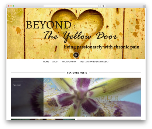 MadHat theme WordPress - beyondtheyellowdoor.com
