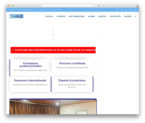 Lws optimize WordPress plugin - www.forces-international.com
