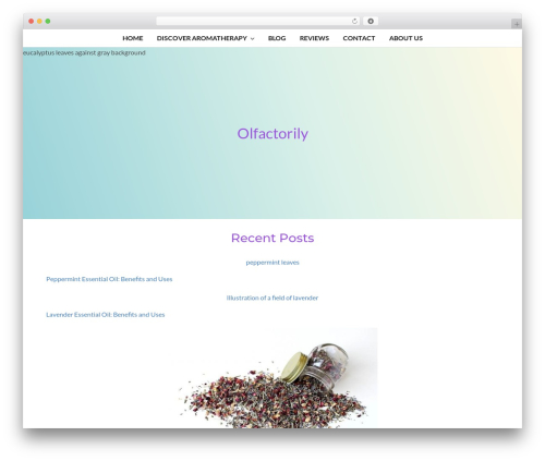 Socrates v5 theme WordPress - olfactorily.com