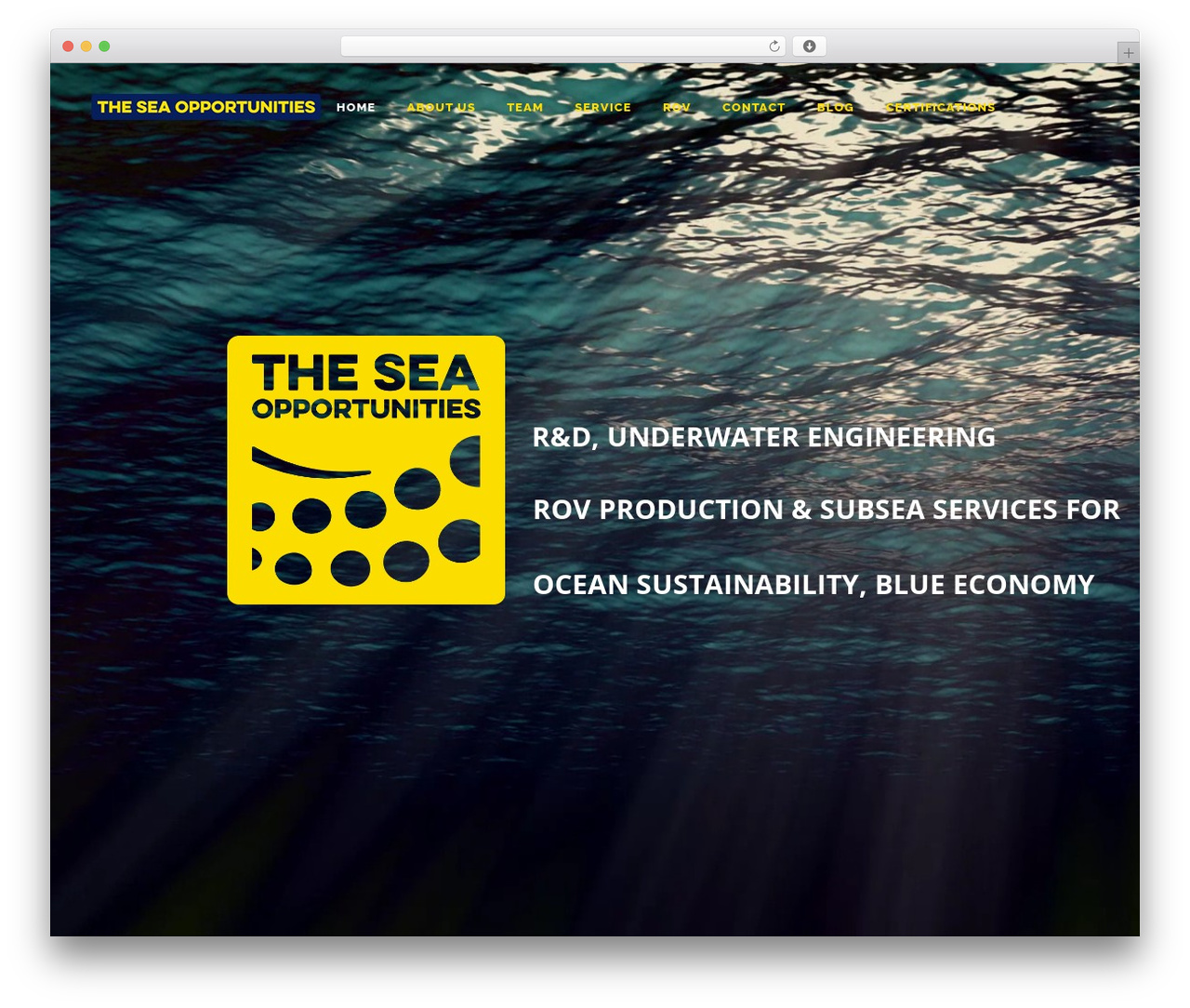 Theme WordPress Bridge - theseaopportunities.com