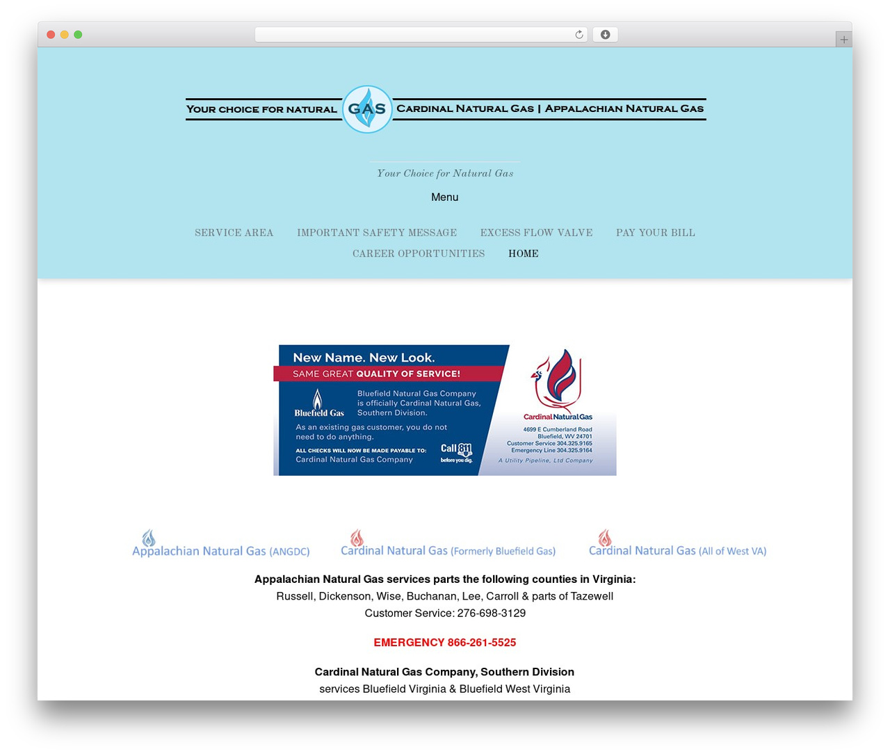Themify Bold theme WordPress - appnatgas.com