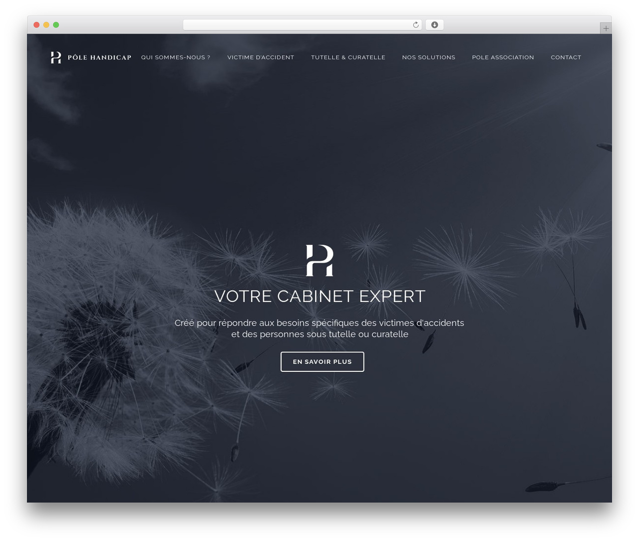 WordPress theme Bridge - pole-handicap-patrimoine.com