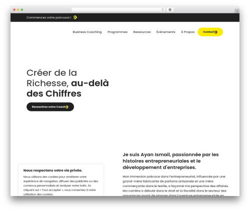 Stm post type WordPress plugin - ac92-actioncoach.eu