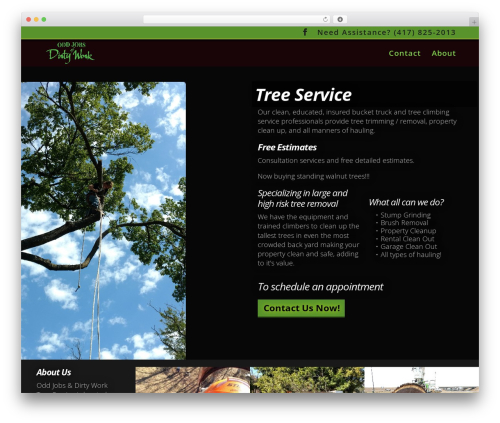 WordPress theme Divi - oddjobsanddirtywork.com
