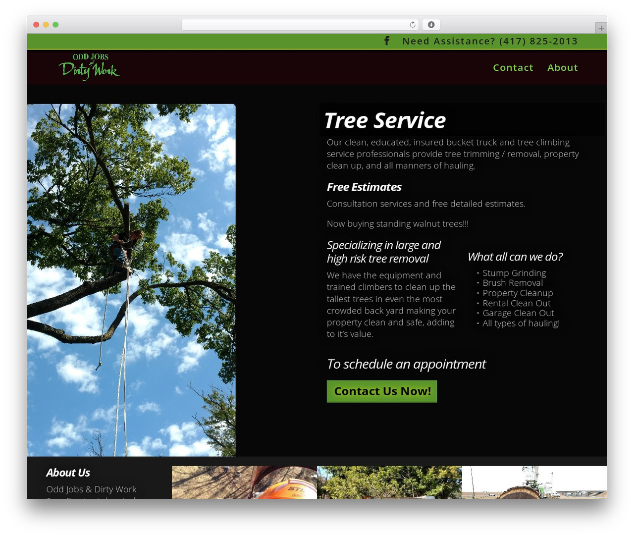 WordPress theme Divi - oddjobsanddirtywork.com