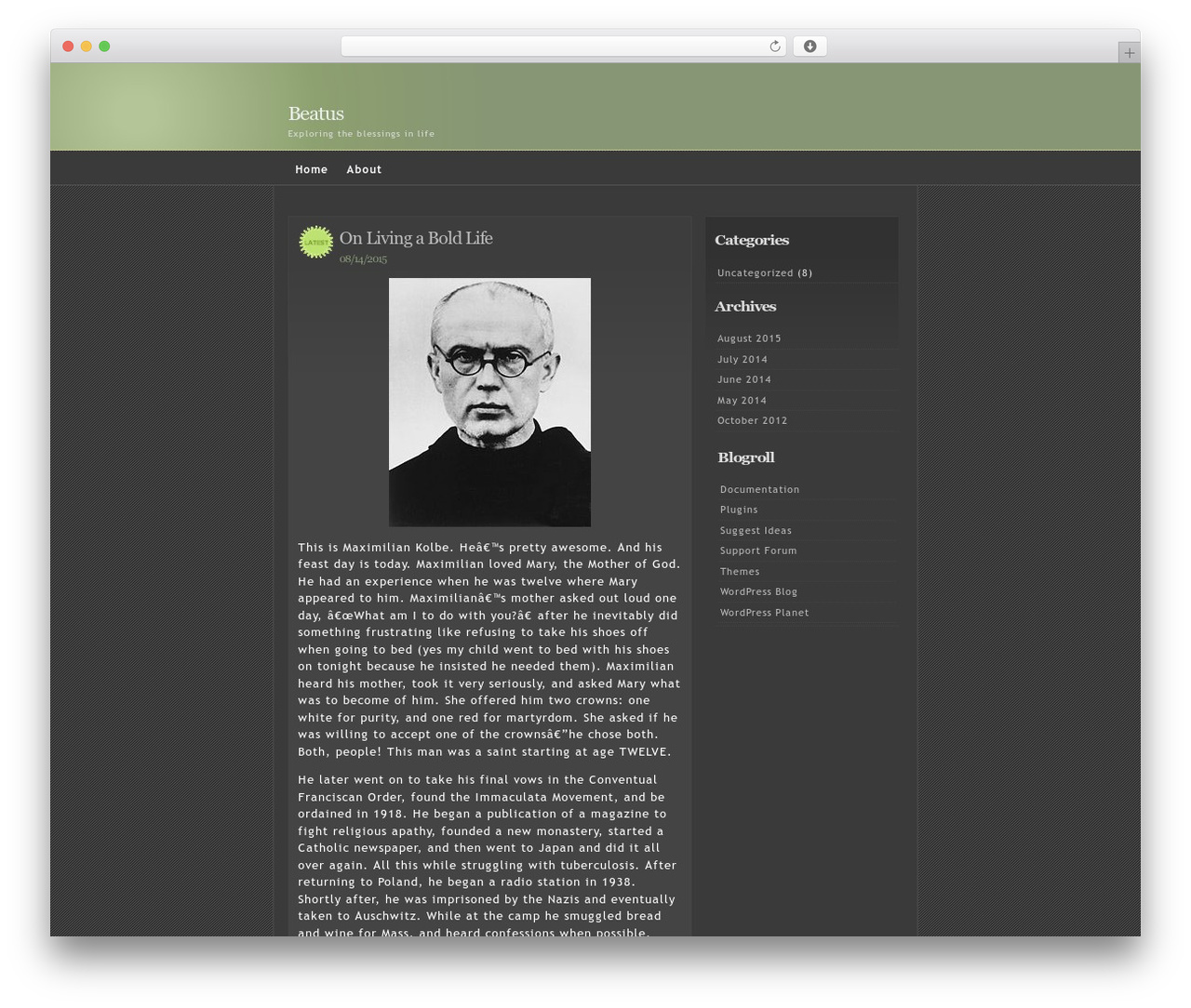WordPress theme Emire - emilyklaus.com