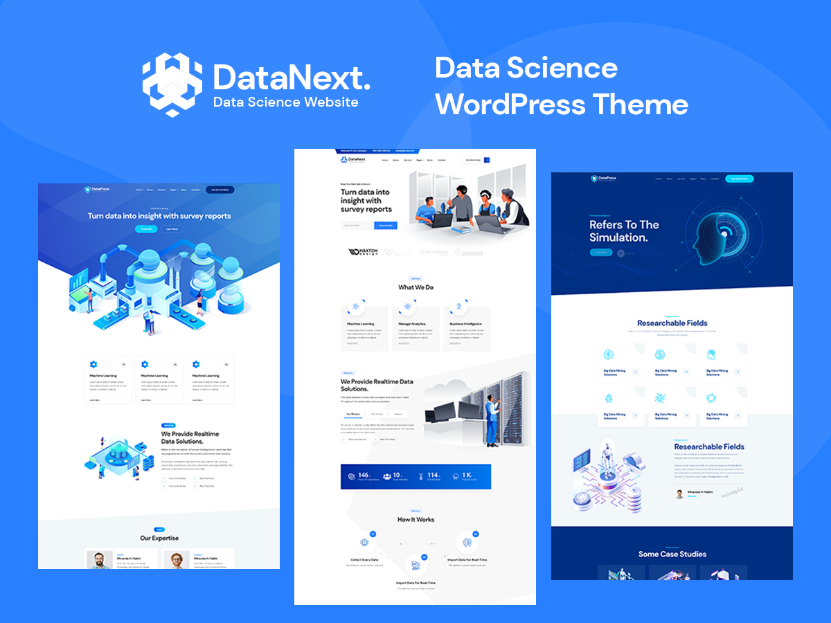 WordPress website theme DataNext by webtend
