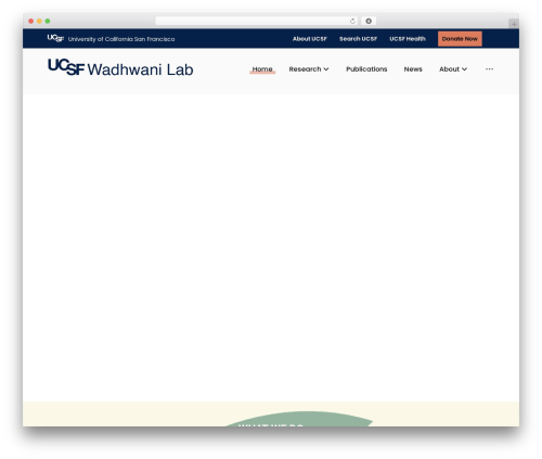Pendari features WordPress plugin - wadhwanilab.org