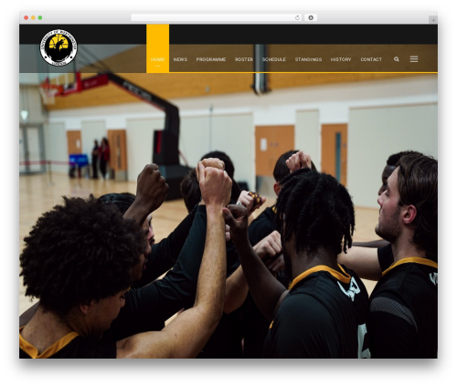 BigSlam WordPress theme design - westminster-basketball.com