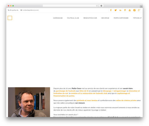 DP Evolve WordPress theme - paillecoco.com