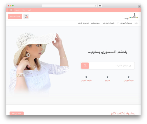 Studiare core WordPress plugin - baladsham.ir