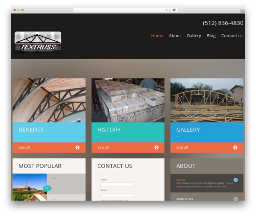 cherry WordPress theme - textruss.com