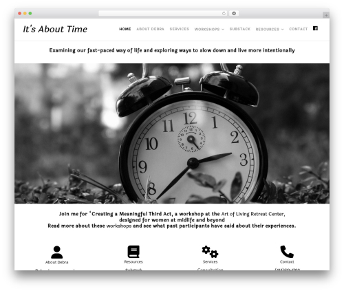 Create WordPress website theme - debkrumholz.com