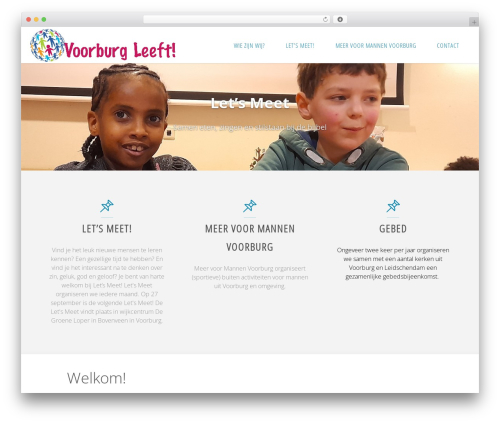 My Custom CSS PHP & ADS (my-custom-css) free WordPress plugin - voorburgleeft.nl