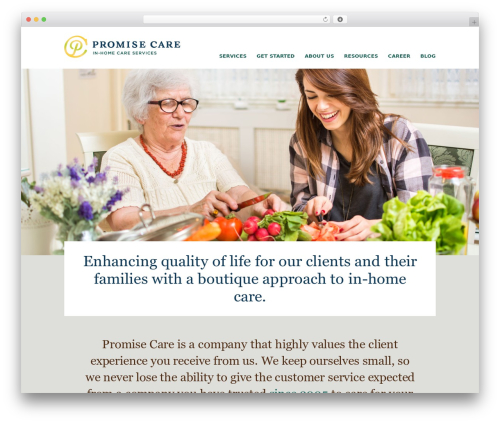 _revslider WordPress plugin - promisecareinc.com