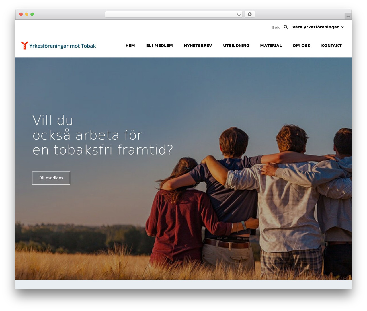The Sceleton theme WordPress theme - tobaccoorhealthsweden.org