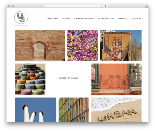 Image caption hover pro WordPress plugin - urban-school.com