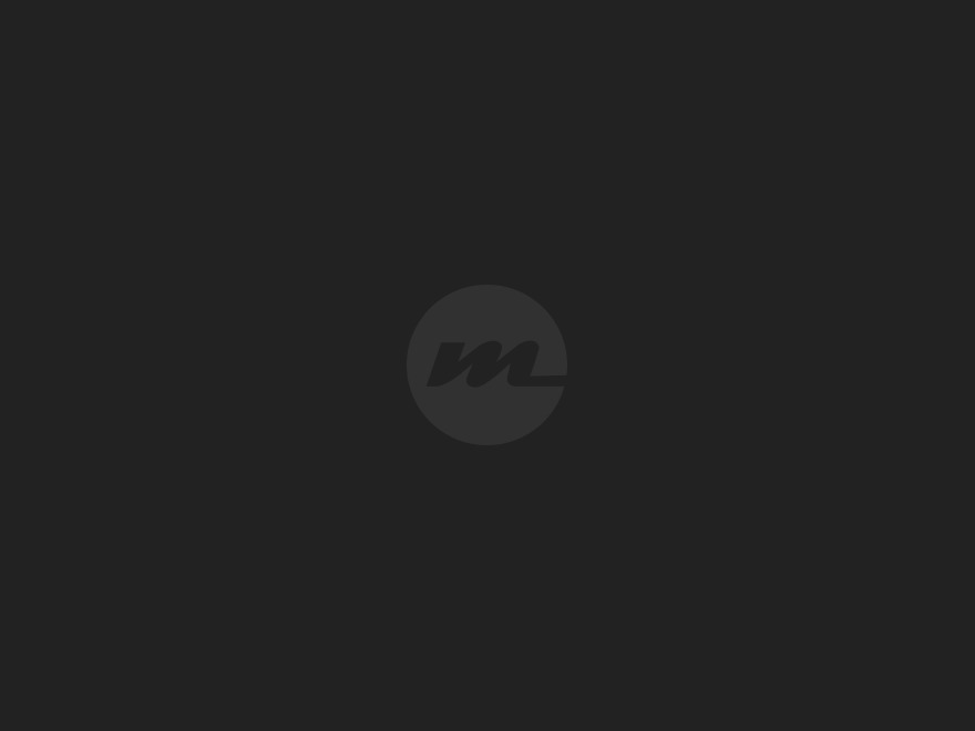 WordPress theme Morpheus by collision